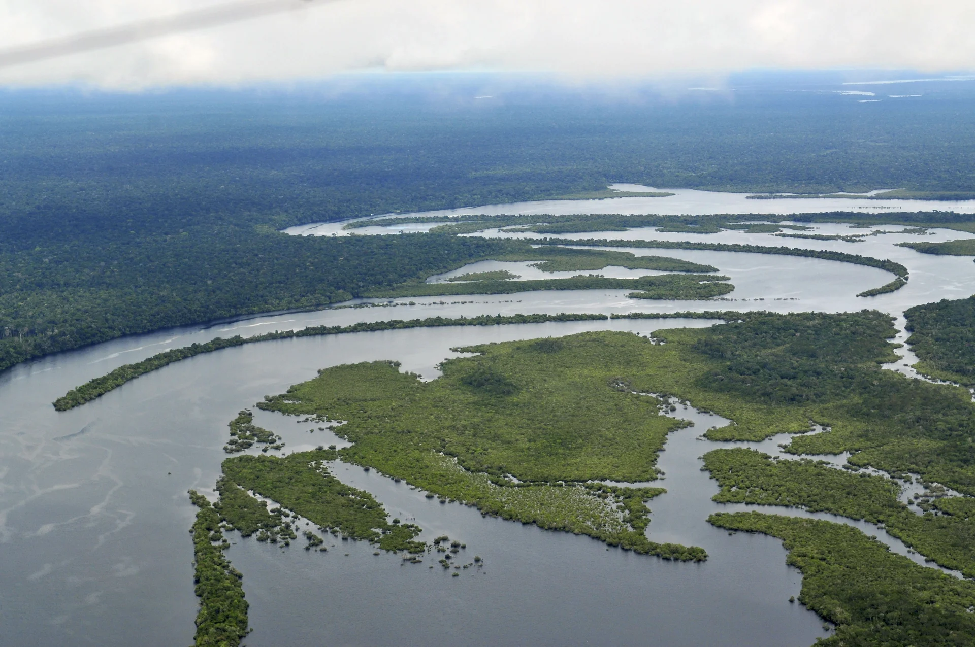 Rios entre a floresta amazônica na região de Manaus, Amazonas